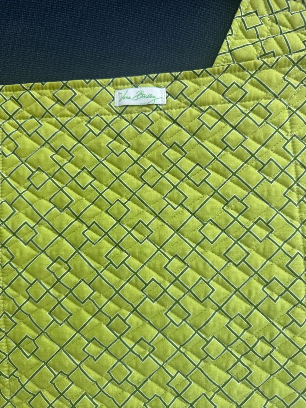🆕Vera Bradley Botanica Placemats🆕